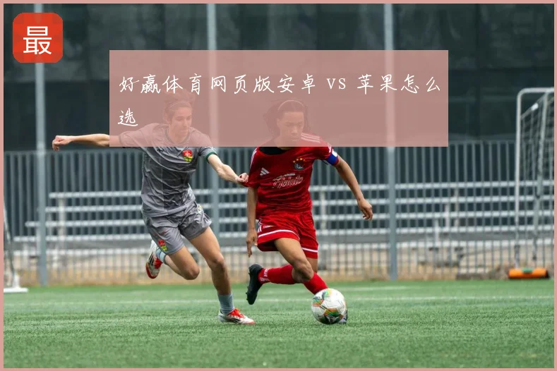 好赢体育网页版安卓 vs 苹果怎么选