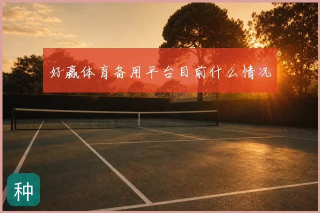 好赢体育备用平台目前什么情况